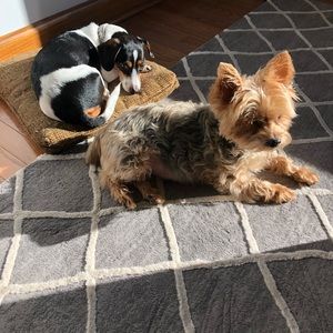 Meet your Posher, Jamie